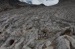 IMG_3431 (FILEminimizer)