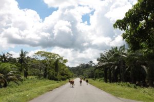 IMG_3710 (FILEminimizer)