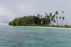 IMG_4458 (FILEminimizer)