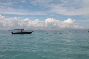 IMG_4462 (FILEminimizer)