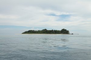 IMG_4553 (FILEminimizer)