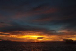 Perfeição IMG_4974 (FILEminimizer)