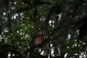 IMG_5378 (FILEminimizer)