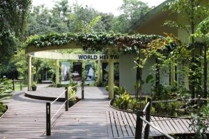 IMG_5515 (FILEminimizer)