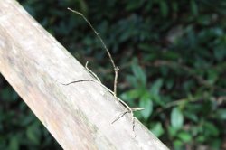 IMG_5522 (FILEminimizer)