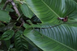 IMG_5538 (FILEminimizer)