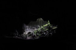 IMG_5568 (FILEminimizer)