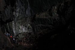 IMG_5658 (FILEminimizer)