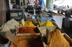 Especiarias IMG_6595 (FILEminimizer)