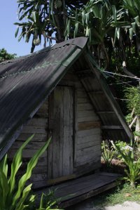 IMG_6970 (FILEminimizer)