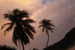 IMG_7019 (FILEminimizer)