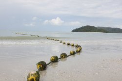 IMG_7092 (FILEminimizer)