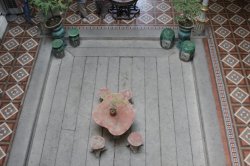 IMG_7773 (FILEminimizer)