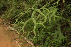 IMG_7857 (FILEminimizer)