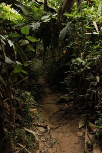 IMG_7879 (FILEminimizer)