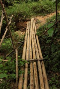 IMG_7882 (FILEminimizer)