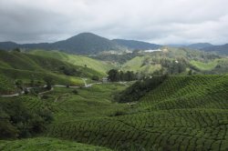 IMG_7980 (FILEminimizer)