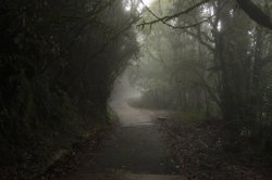 IMG_8089 (FILEminimizer)