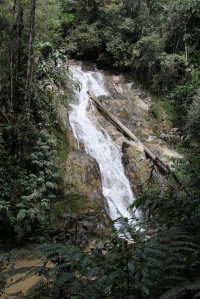 IMG_8101 (FILEminimizer)