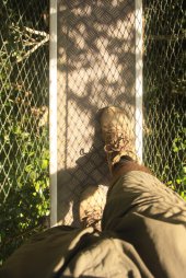 IMG_8268 (FILEminimizer)