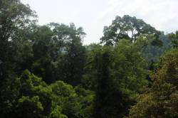 IMG_8272 (FILEminimizer)