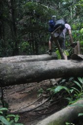 IMG_8337 (FILEminimizer)