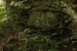 IMG_8341 (FILEminimizer)