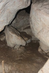 IMG_8381 (FILEminimizer)