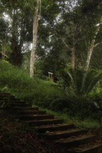 IMG_8405 (FILEminimizer)