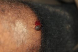 IMG_8406 (FILEminimizer)