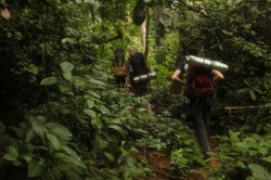 IMG_8411 (FILEminimizer)