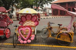 IMG_8456 - Copy (FILEminimizer)