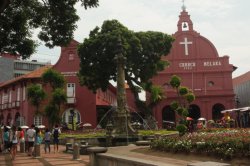 IMG_8472 - Copy (FILEminimizer)