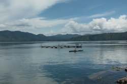 IMG_0117 (FILEminimizer)