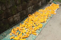 IMG_0205 (FILEminimizer)