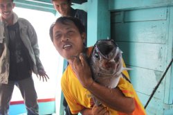 IMG_0370 (FILEminimizer)