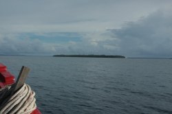 IMG_0375 (FILEminimizer)