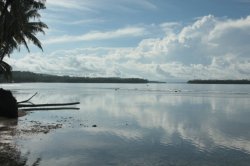 IMG_0463 (FILEminimizer)