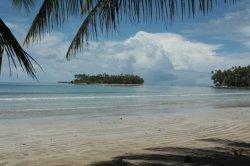 IMG_0533 (FILEminimizer)