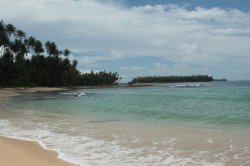 IMG_0580 (FILEminimizer)