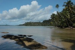 IMG_0701 (FILEminimizer)