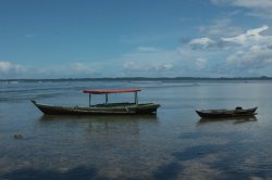 IMG_0718 (FILEminimizer)