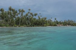 IMG_0785 (FILEminimizer)