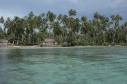 IMG_0788 (FILEminimizer)