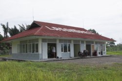 IMG_0795 (FILEminimizer)