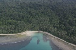 IMG_0813 (FILEminimizer)