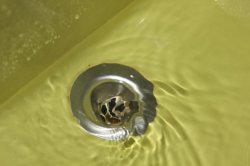 IMG_0899 (FILEminimizer)