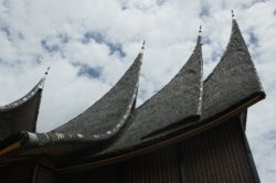 IMG_0946 (FILEminimizer)