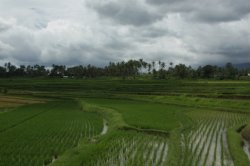 IMG_0999 (FILEminimizer)