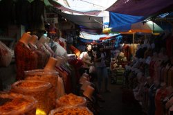 IMG_1050 (FILEminimizer)